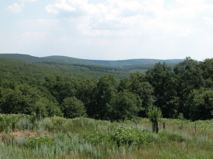 Bulhary – prostředí